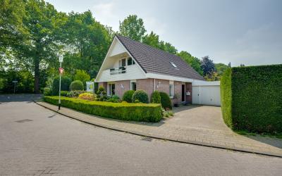 Zilvermeeuw 6