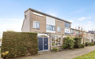Cijnsbroek 1