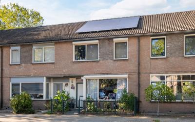 Sporenweide 5