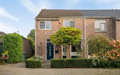 Somerweide 50