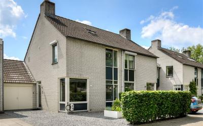 Randoord 7