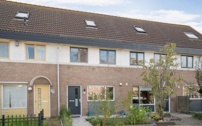 Vekenoord 29