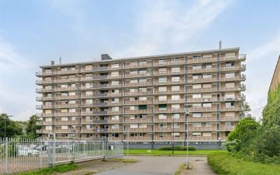 Hobokenstraat 219