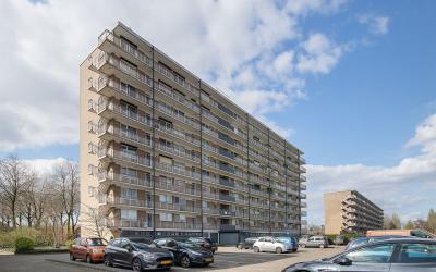 Hobokenstra. 251