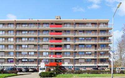 Hobokenstra. 363