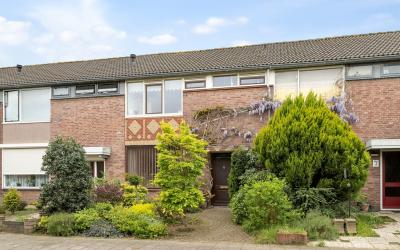Dendermonde. 5
