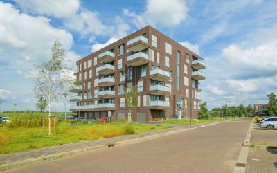 Maasdijk 317