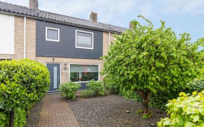 Groene Woud 100