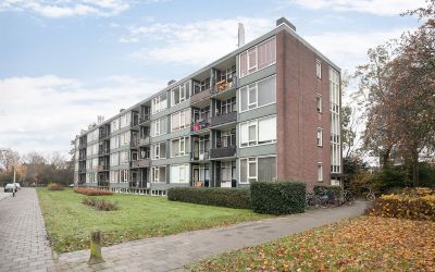 Groene Woud 208