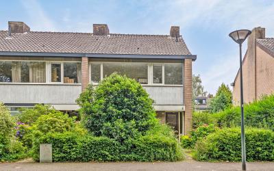 Zwijnsberge. 164