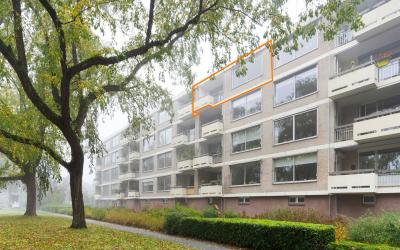 Wildenborgs. 40-D