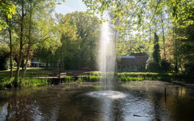 Overaseweg 46