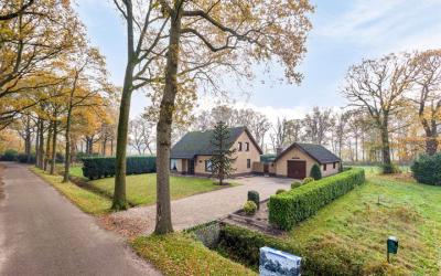 Raamschoors. 41