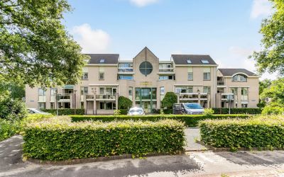 Haenenburgh 6
