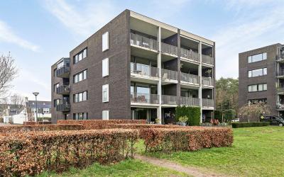 Platte Akker 213