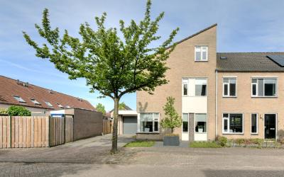 Korenbloem 1
