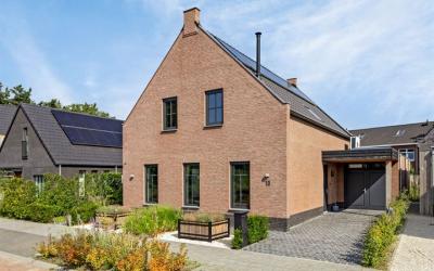 Korenbloem 13