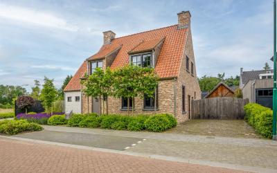Korenbloem 17