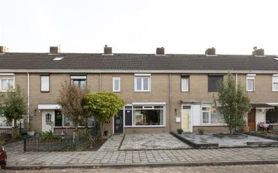 Vlaanderens. 13