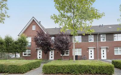 Schutsgilde. 36