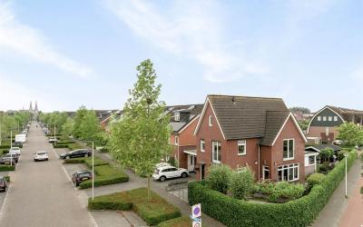 Schutsgilde. 97