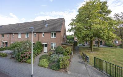 Schoonhout 87