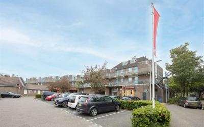 Schoonhout 137