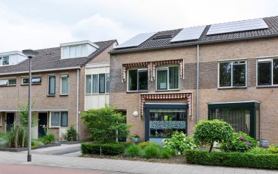 Schoonhout 210