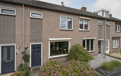 Schoonhout 86