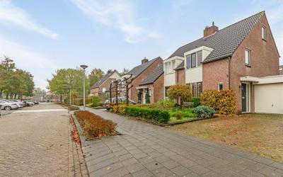 Houtduif 66