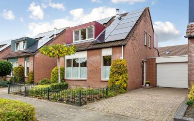 Roerdomp 91