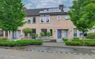 Zilvermeeuw 7