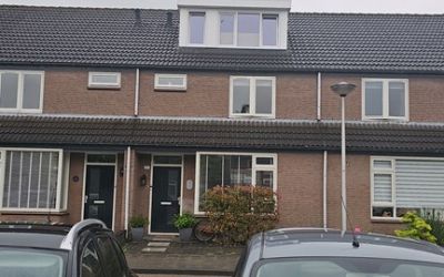 Zilvermeeuw 117