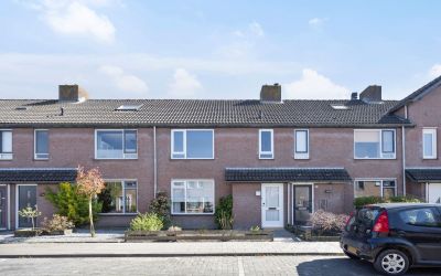 Zilvermeeuw 20