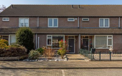 Zilvermeeuw 58