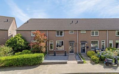Zilvermeeuw 122