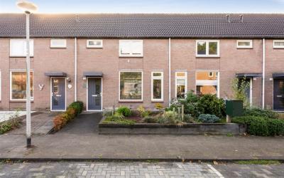 Zilvermeeuw 132