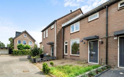 Zilvermeeuw 138
