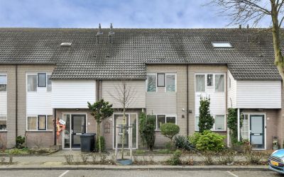 Nachtegaal 42