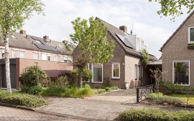 Vlaamse Gaai 1