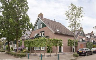 Scholekster 2