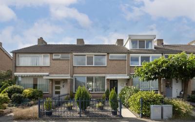 Bijvang 15