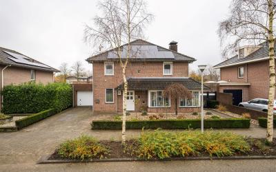 Speelveld 7