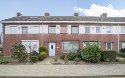 Willem Kloo. 20