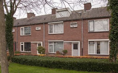 Willem Kloo. 6