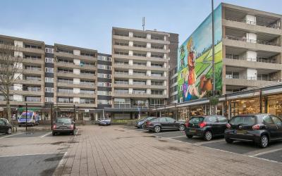 Schapendries 40