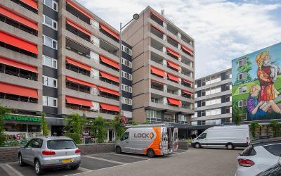 Schapendries 79