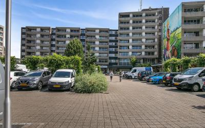 Schapendries 89