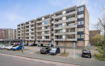 Schapendries 137