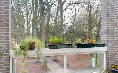De Braak 24